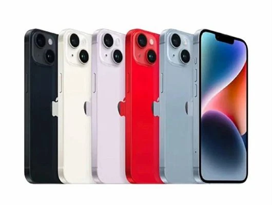 case 02